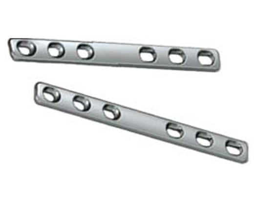 Femur Dynamic Compression Plate (Femur)