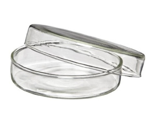 Petri Dish Glass 90mm Chinese