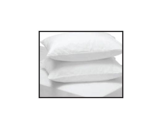 Pillow & Case