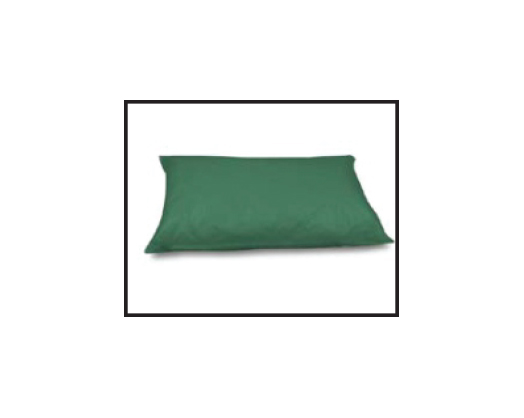 Pillow & Mackintosh