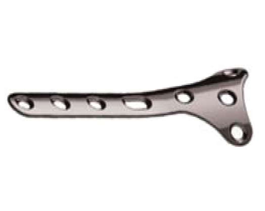 Ulna & Radius Dorsal Distal Radius Plate (Oblique)